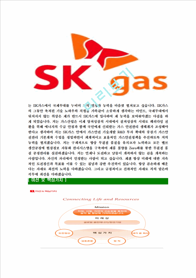 [SK가스-최신공채합격자기소개서] SK가스자소서,sk   (6 )